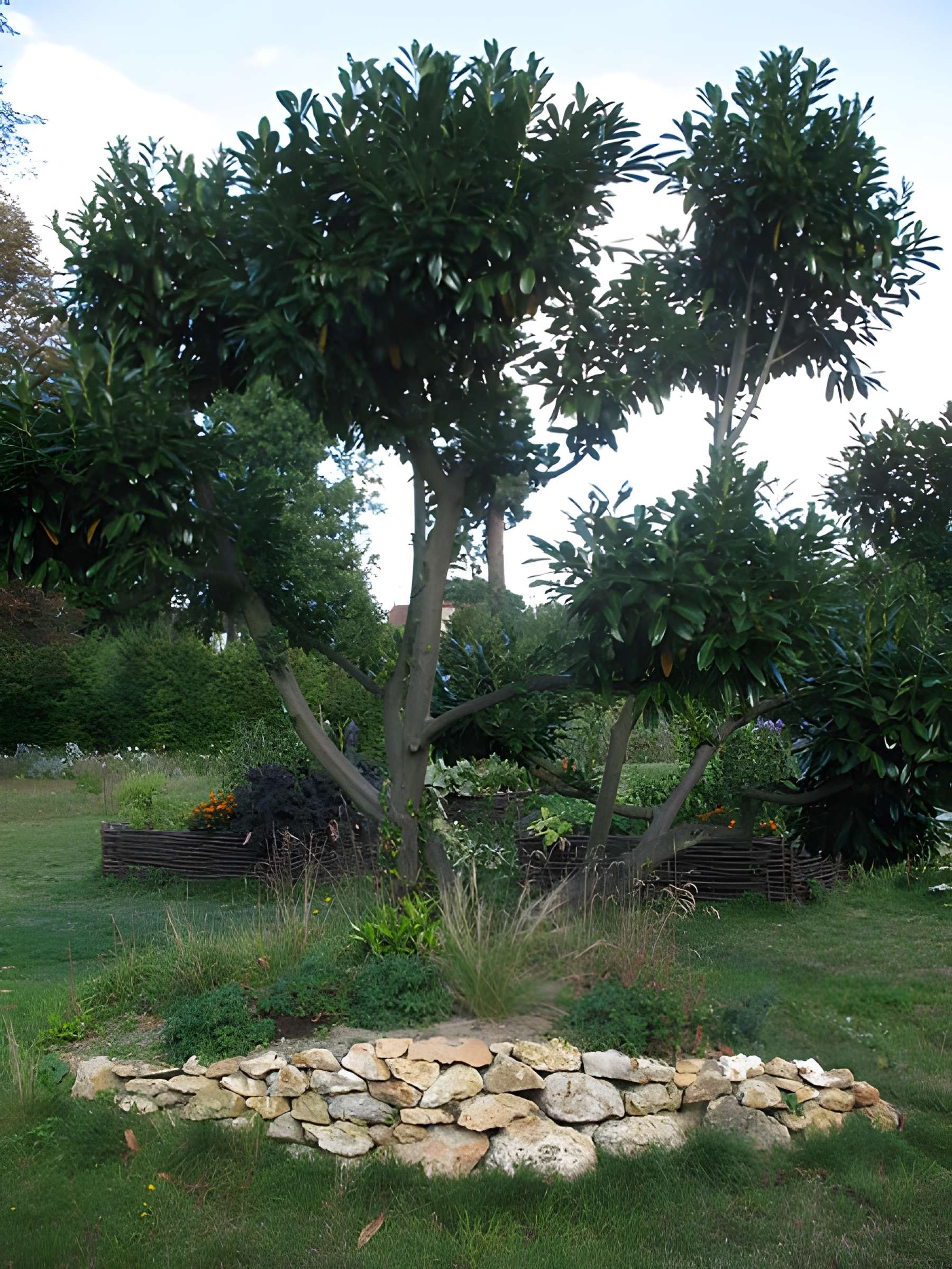 Domaine de Madame Elisabeth