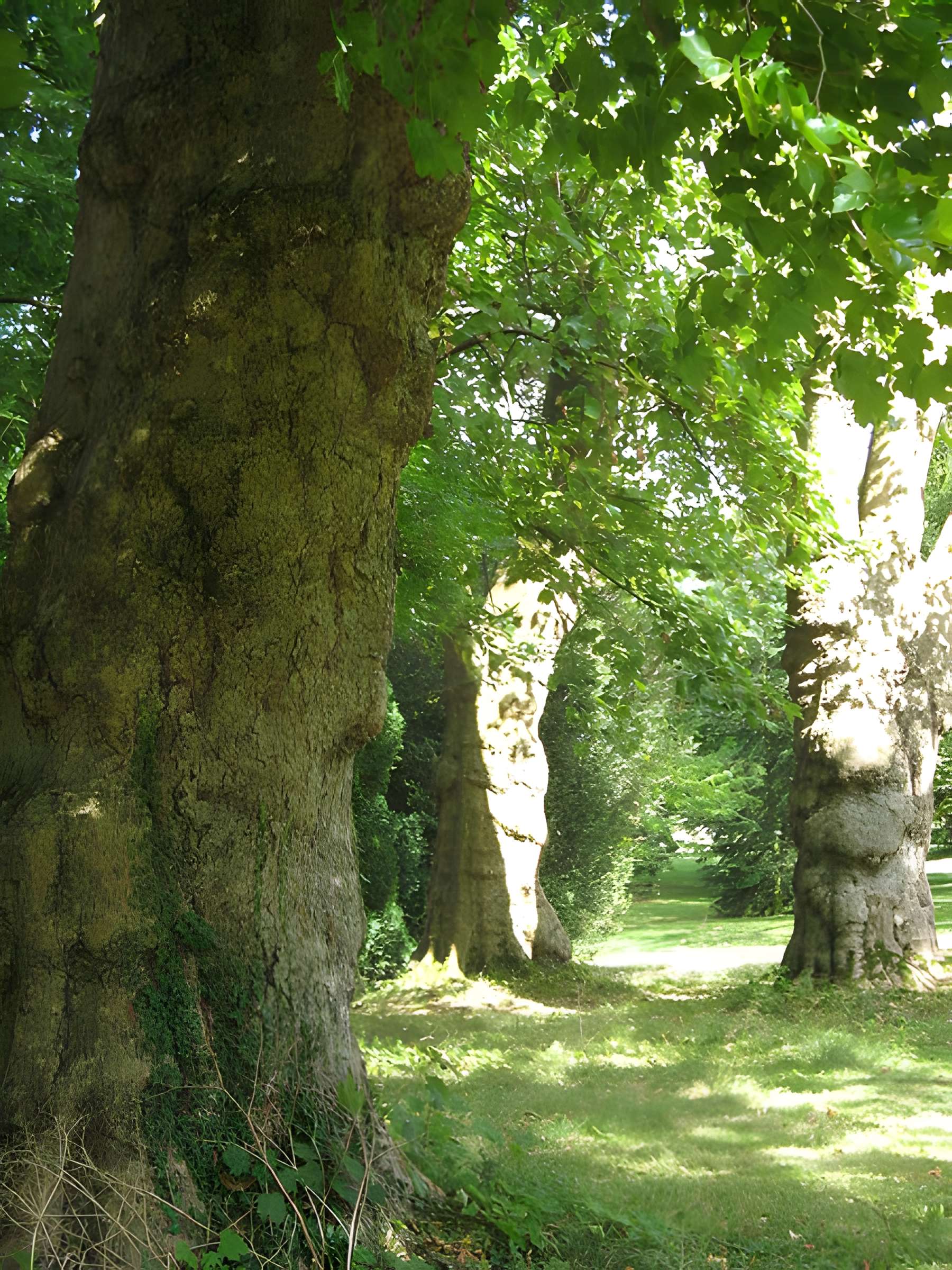 Domaine de Madame Elisabeth