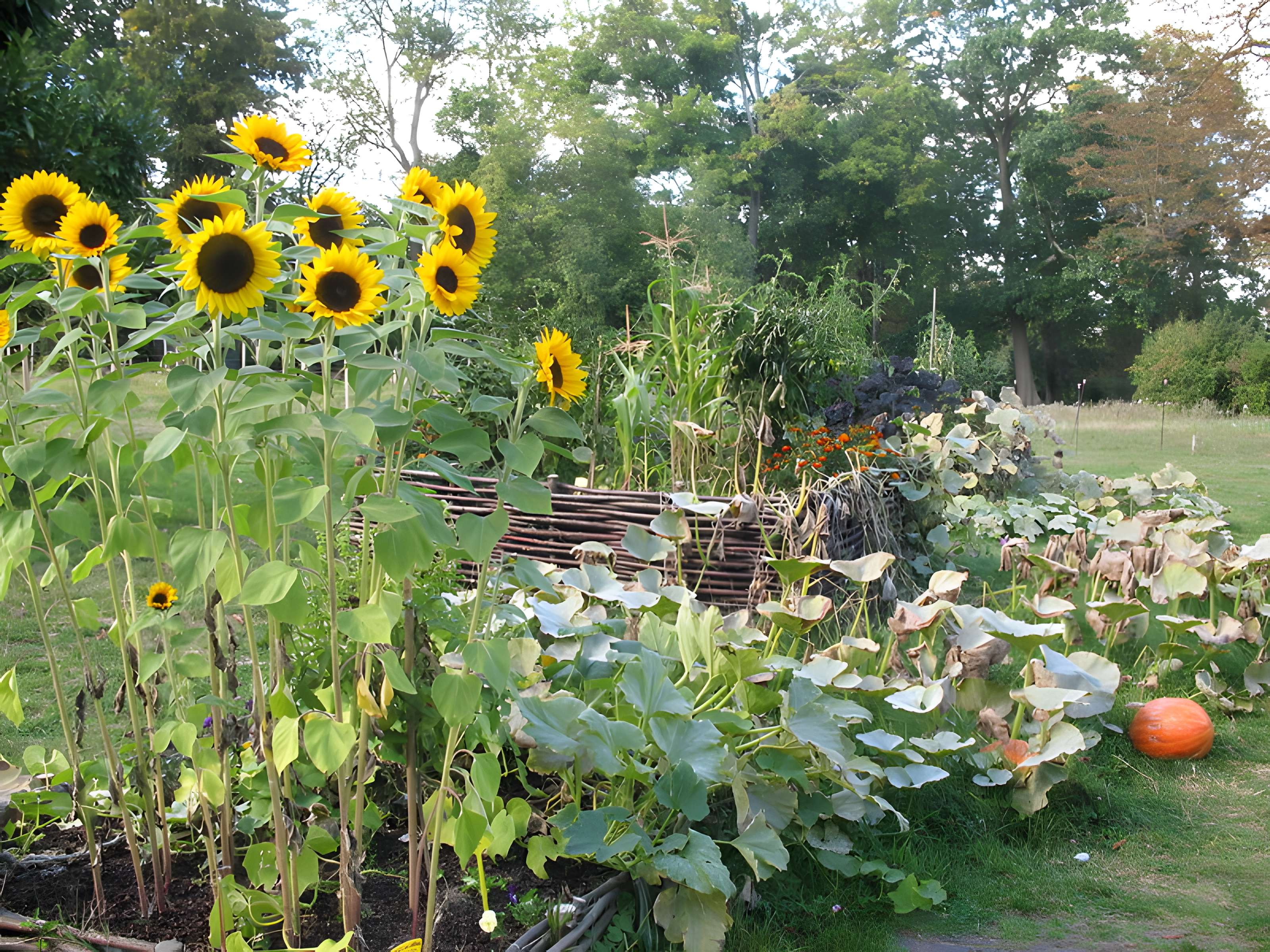 Domaine de Madame Elisabeth