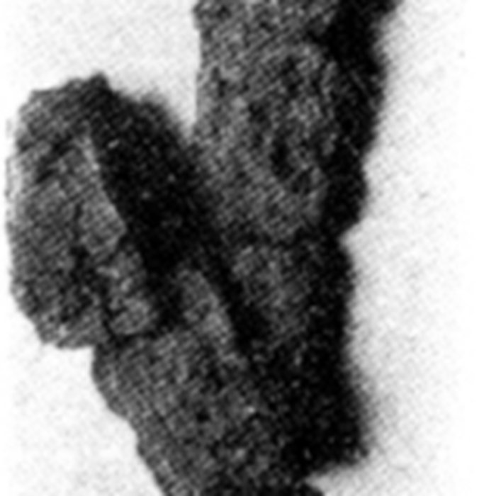 Photo de Maisons fortes romanes à Mont-de-Marsan