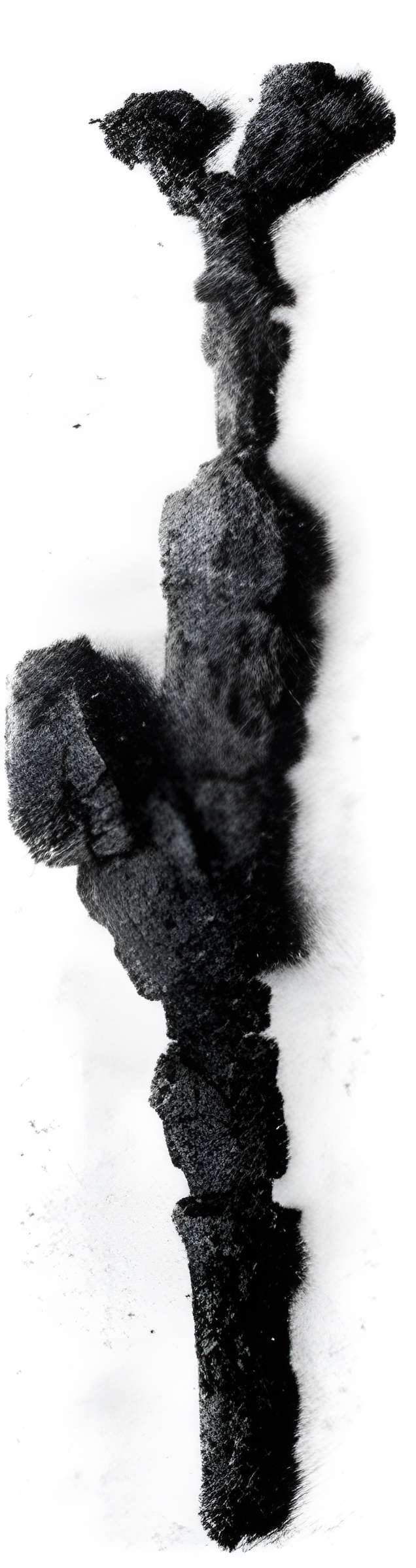 Maisons fortes romanes à Mont-de-Marsan