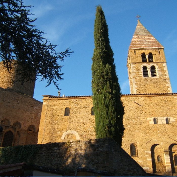 Photo de Château de Châtillon-dAzergues
