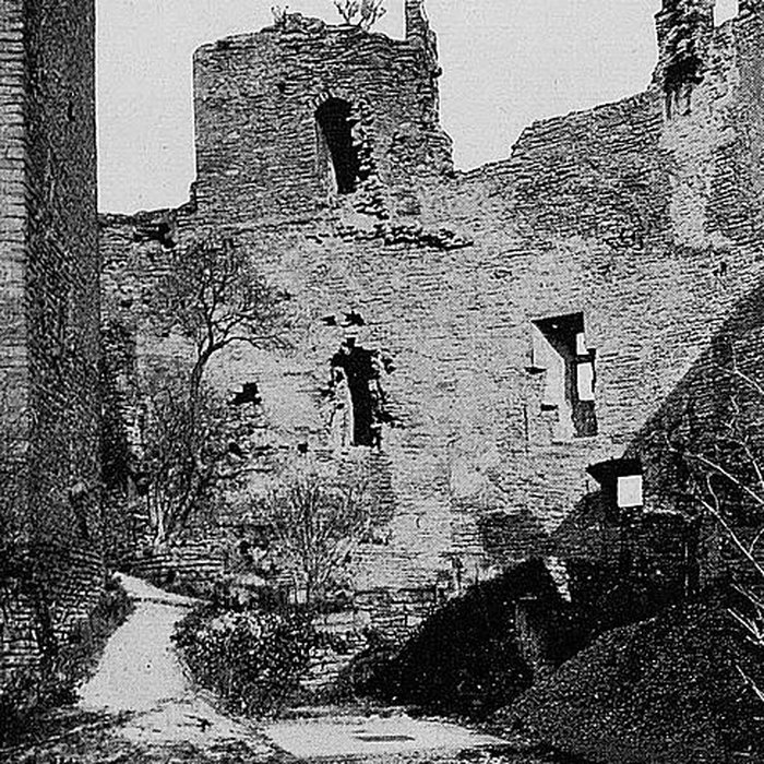 Photo de Château de Châtillon-dAzergues