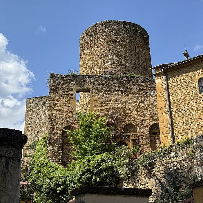 Photo de Château de Châtillon-dAzergues
