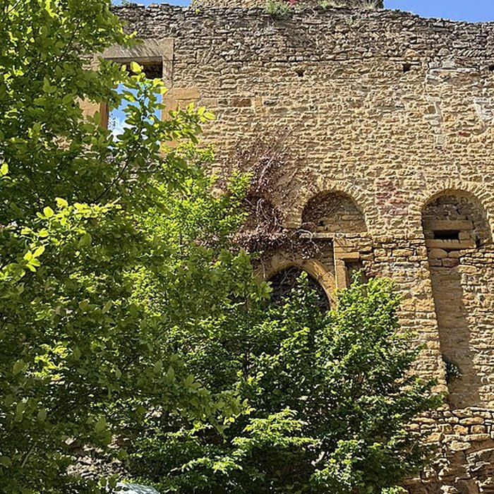 Photo de Château de Châtillon-dAzergues