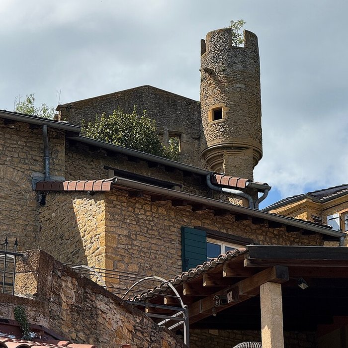 Photo de Château de Châtillon-dAzergues