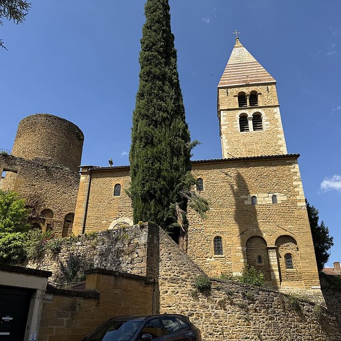 Photo de Château de Châtillon-dAzergues