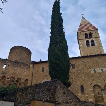 Château de Châtillon-dAzergues