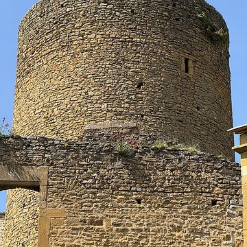 Château de Châtillon-dAzergues