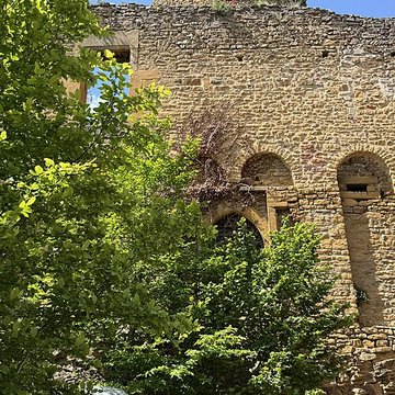 Château de Châtillon-dAzergues