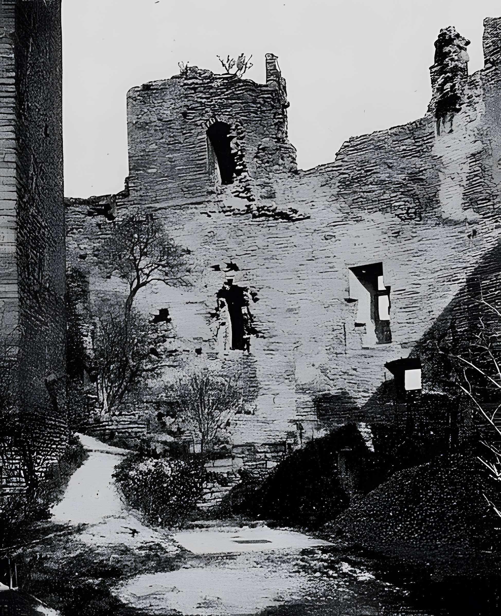 Château de Châtillon-d'Azergues