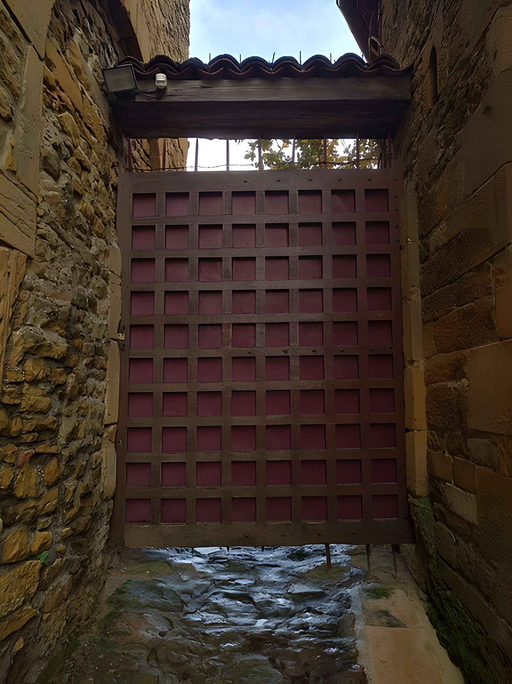 Château de Châtillon-d'Azergues