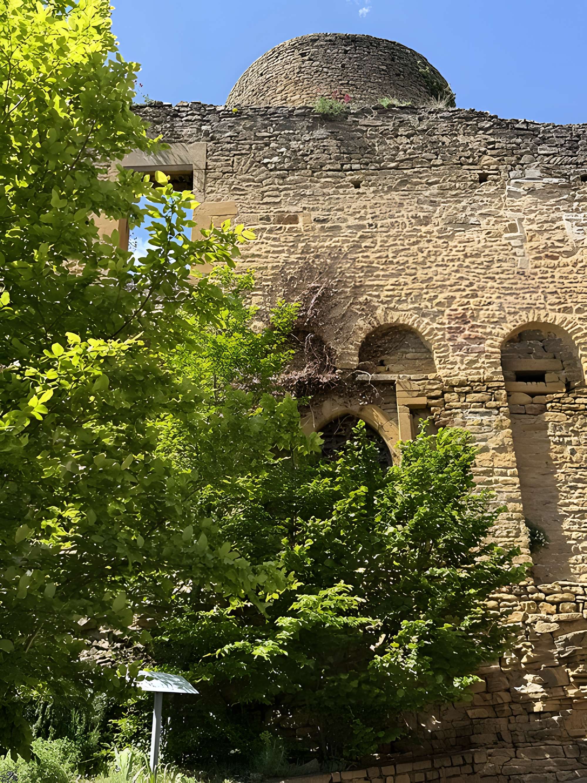 Château de Châtillon-d'Azergues