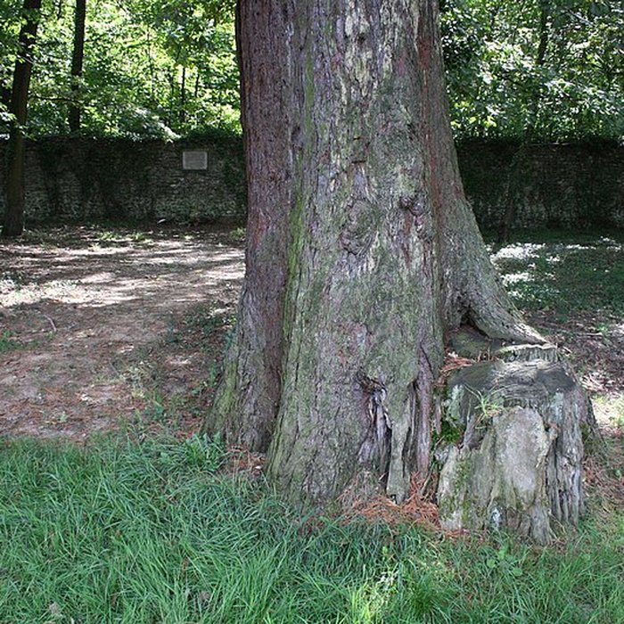 Photo de Mur dit des Fédérés