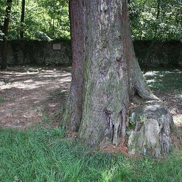 Mur dit des Fédérés