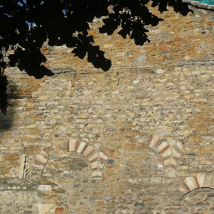 Photo de Manécanterie de Lyon