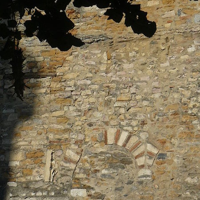 Photo de Manécanterie de Lyon