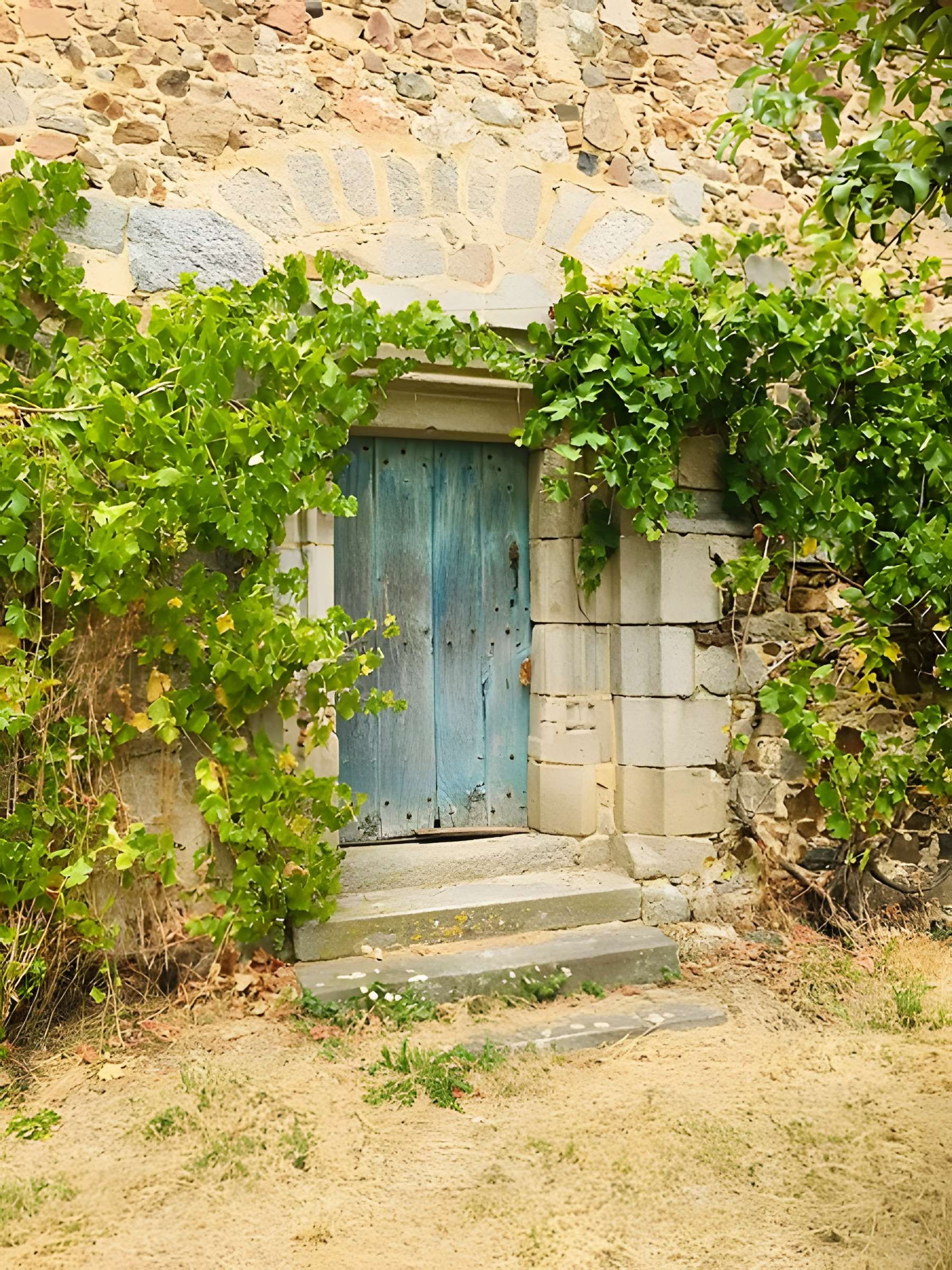 Château d'Argenton-le-Château