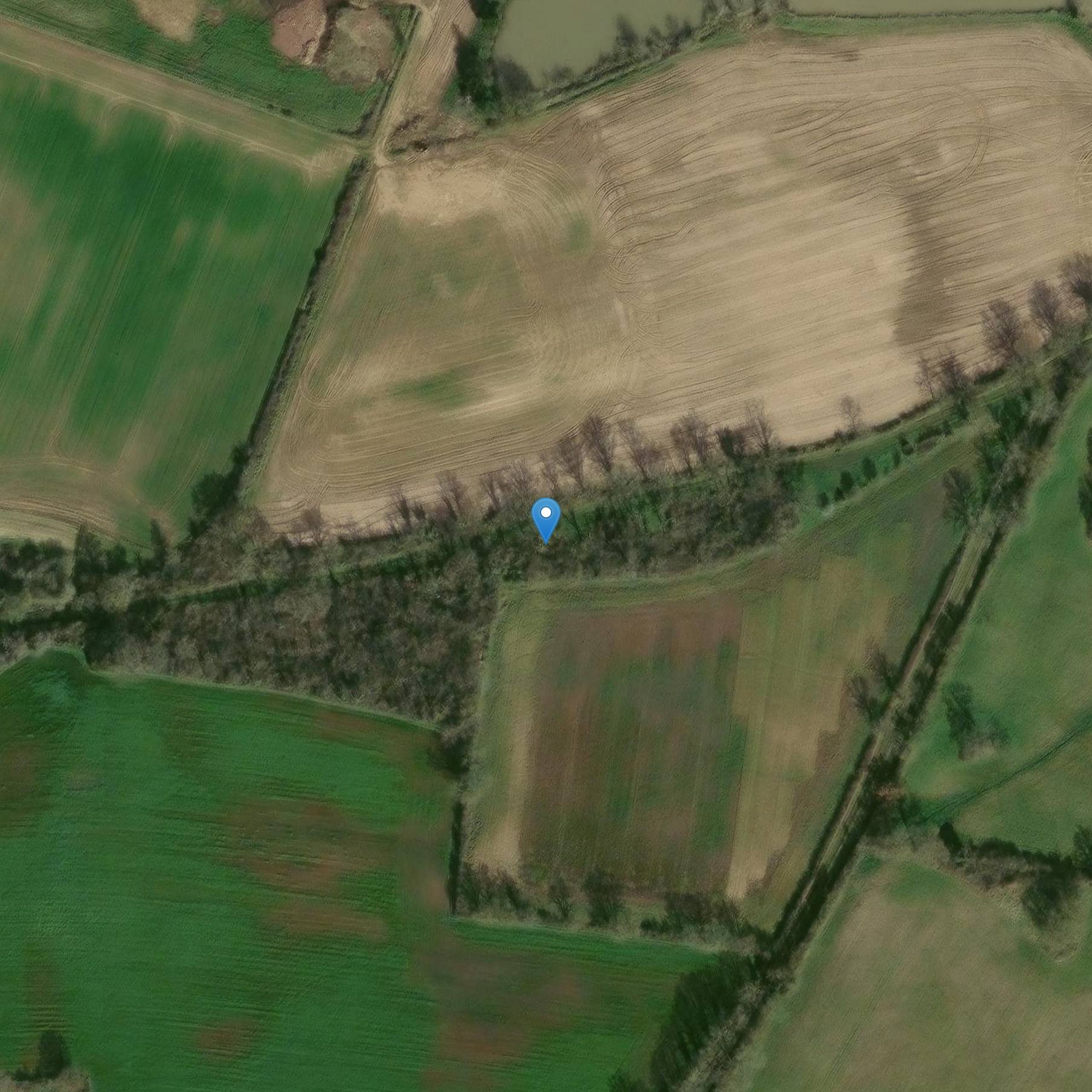 Photo de Dolmen dit La Pierre Levée du Grand Gât