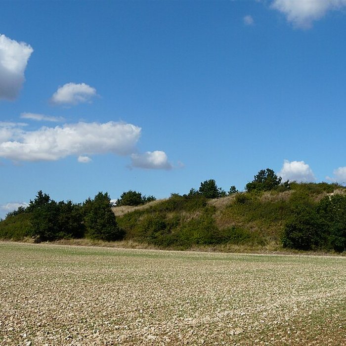 Photo de Tumulus