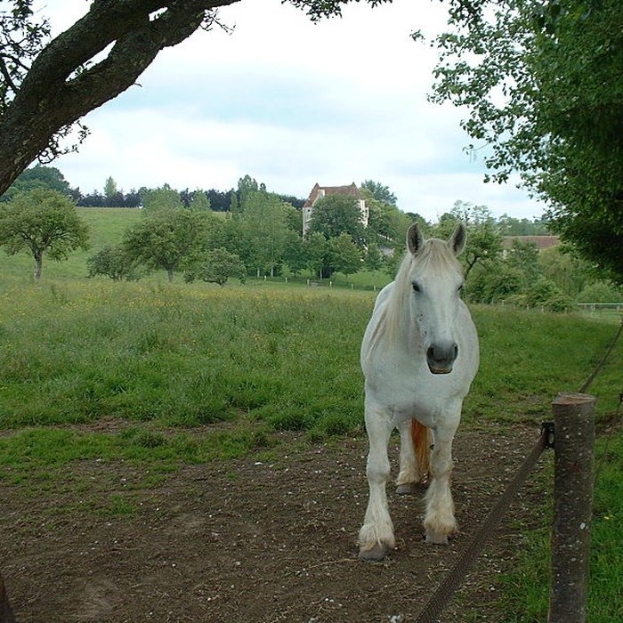 Photo de Manoir de Courboyer