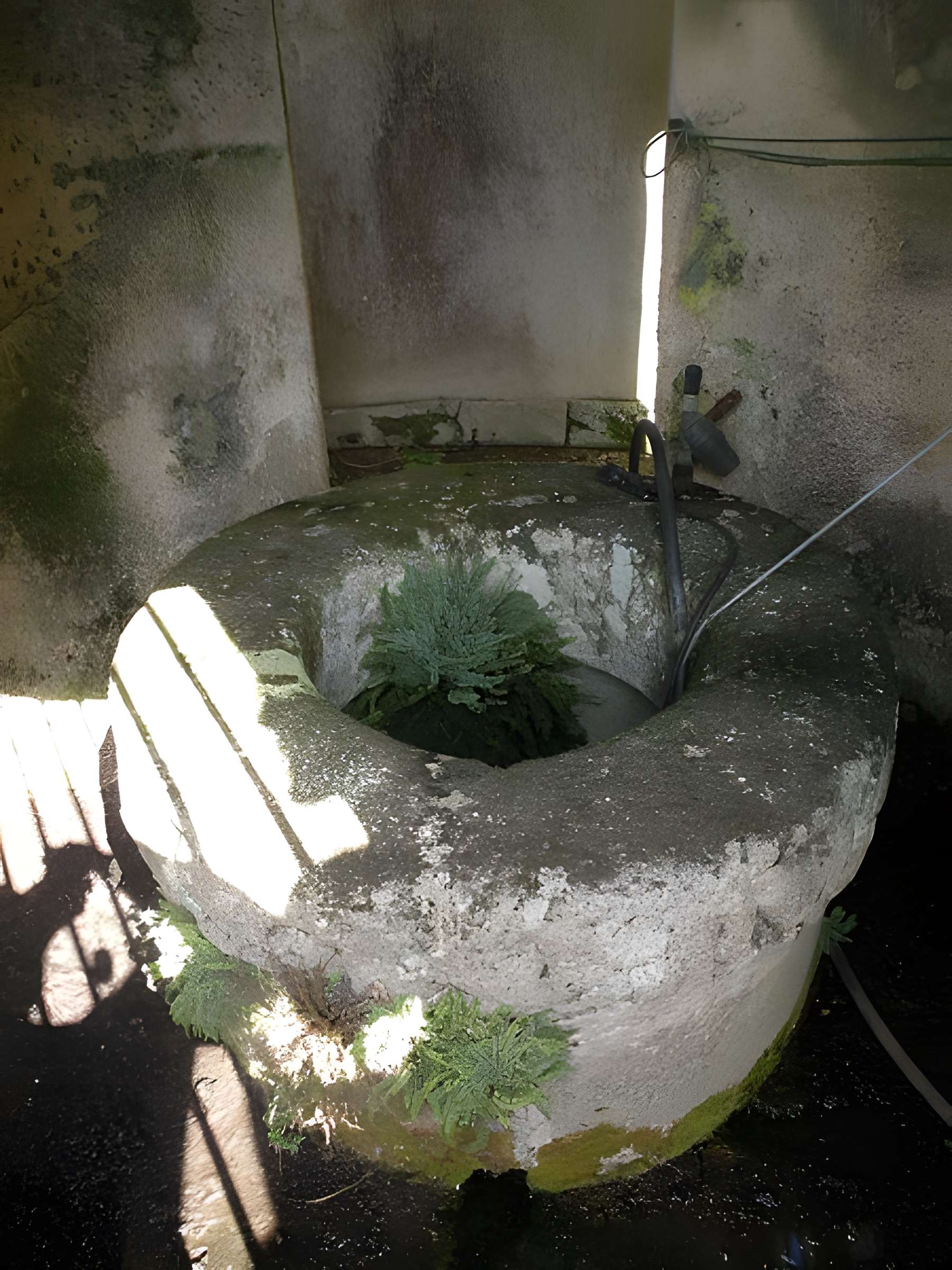 Eglise Notre-Dame de Pitié