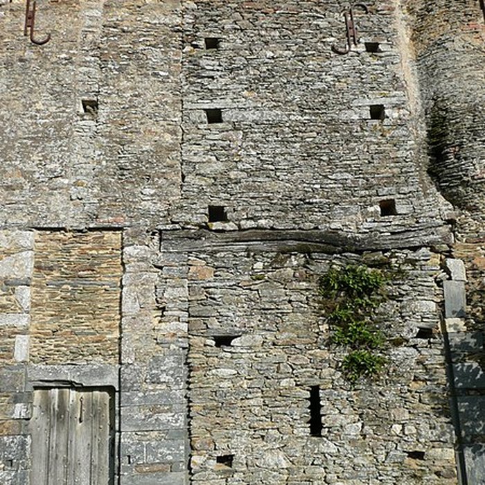 Photo de Manoir de la Cour des Aulnays 