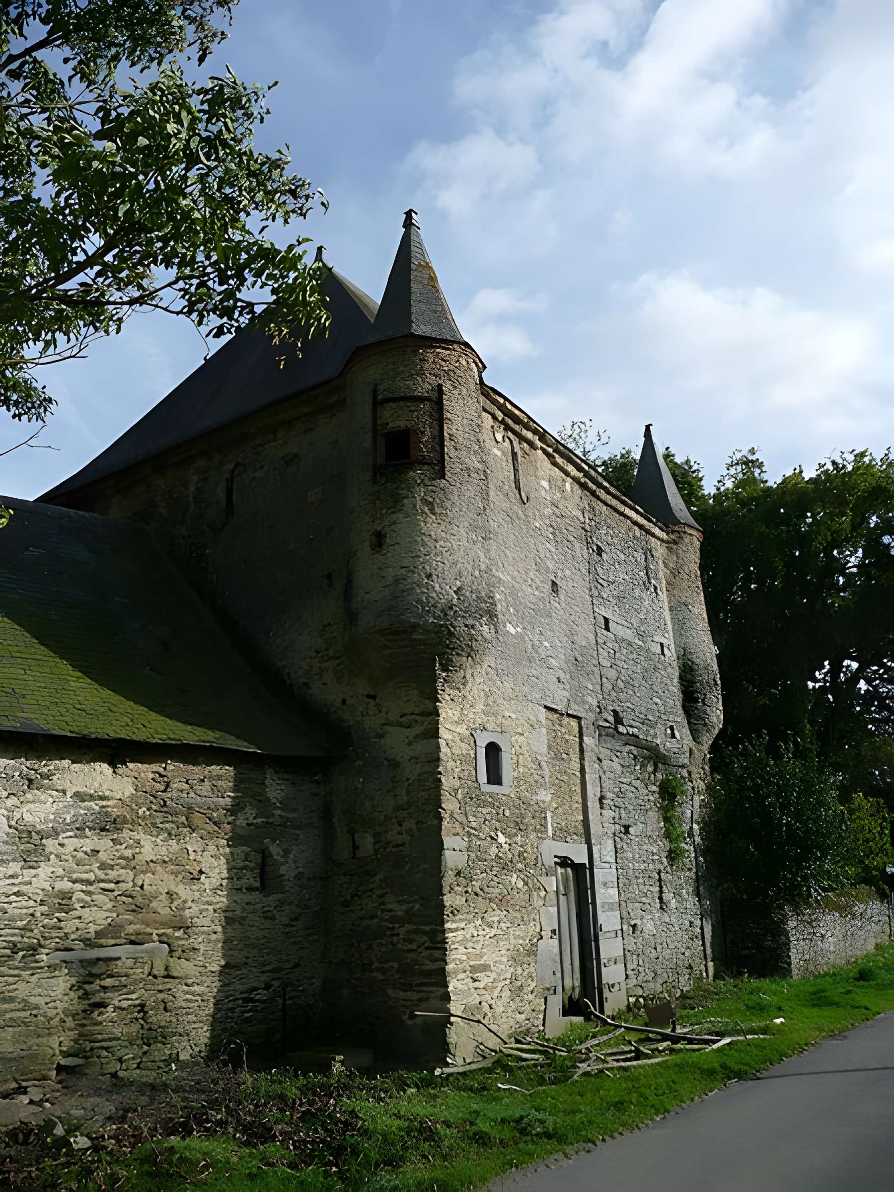 Manoir de la Cour des Aulnays 