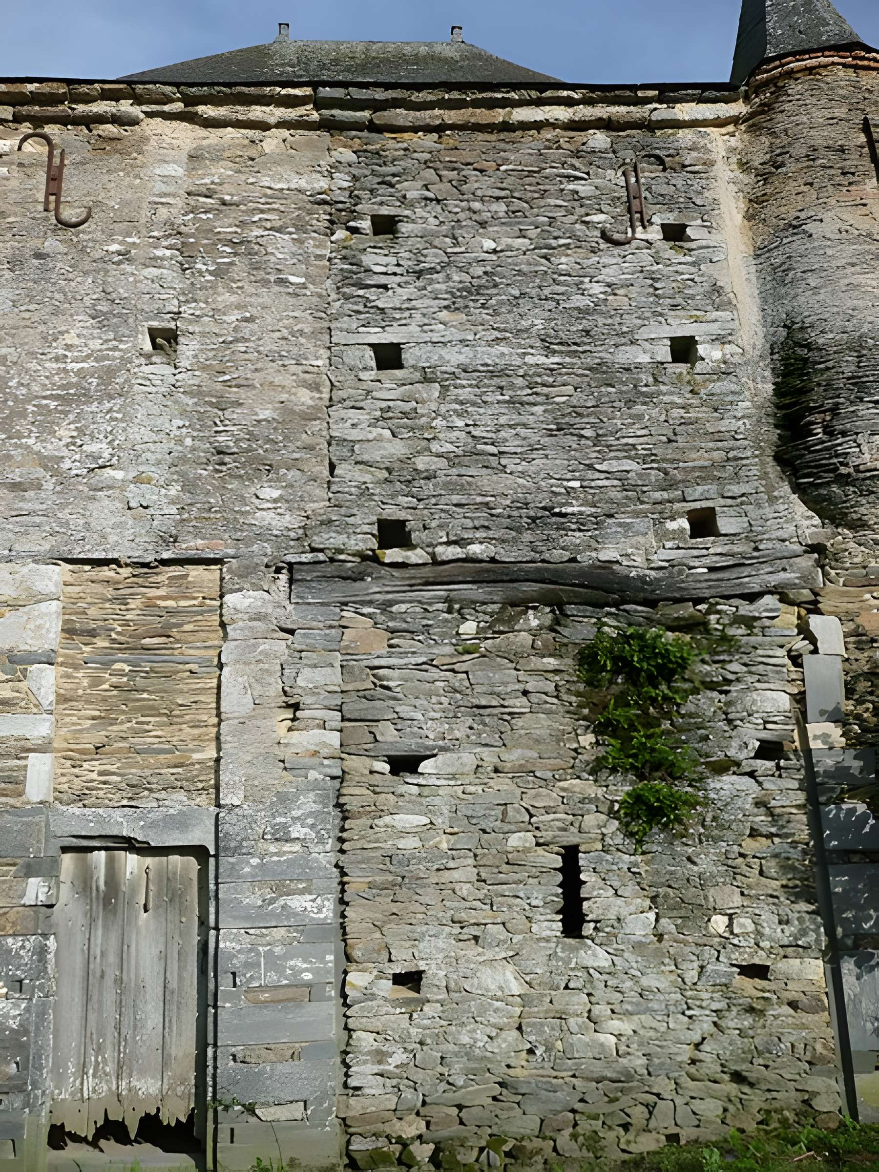 Manoir de la Cour des Aulnays 