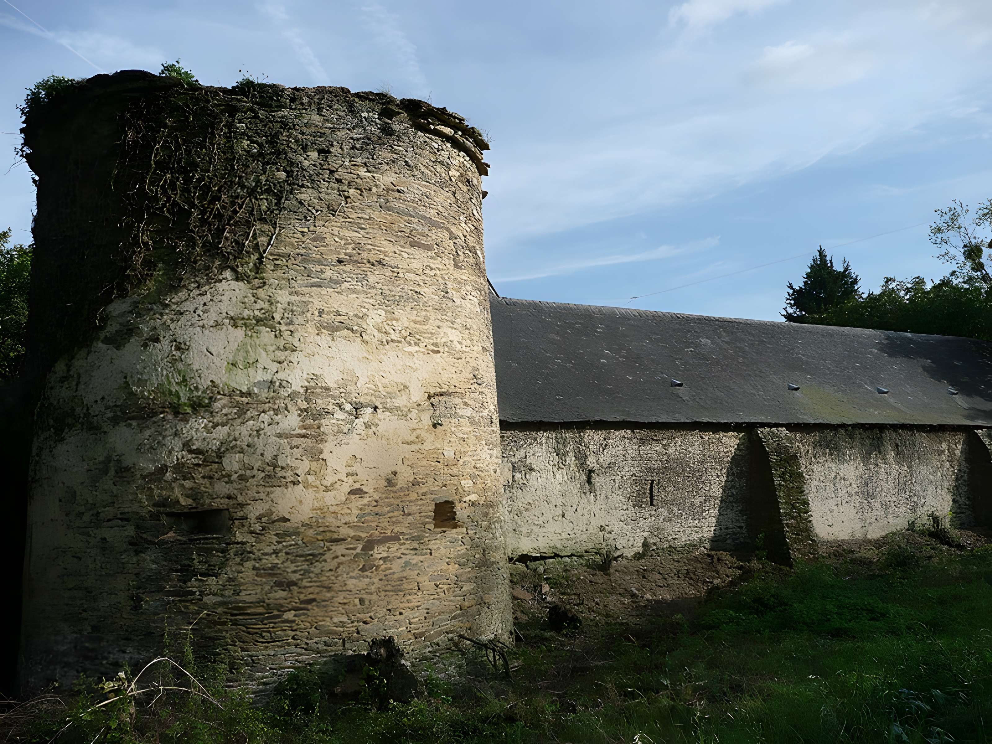 Manoir de la Cour des Aulnays 