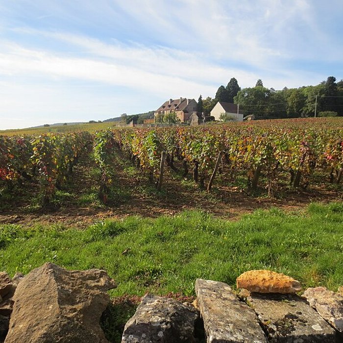 Photo de Manoir de La Perrière 