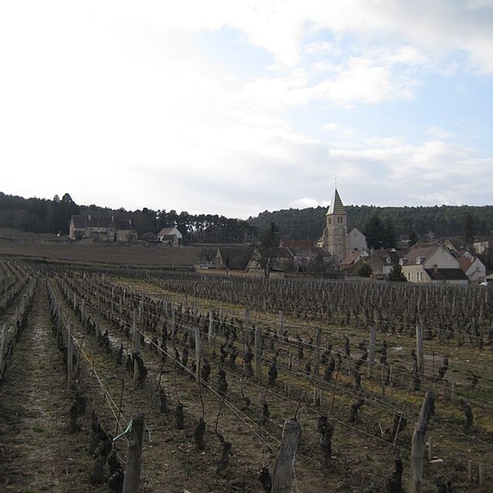 Photo de Manoir de La Perrière 