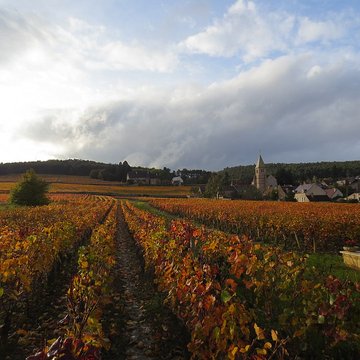 Manoir de La Perrière 