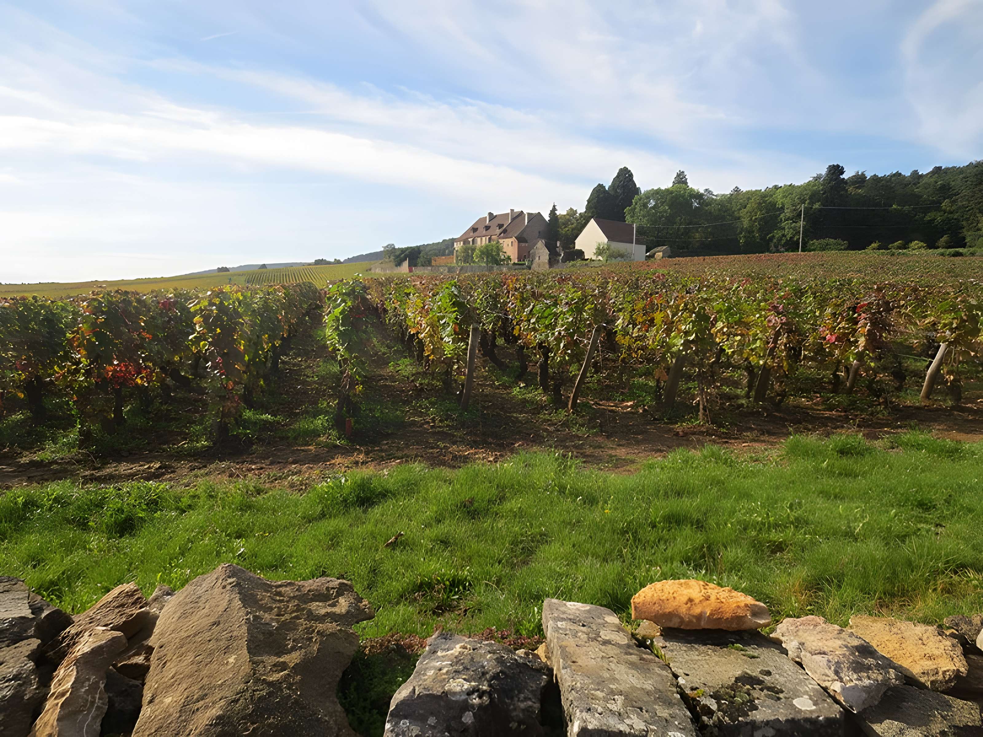 Manoir de La Perrière 