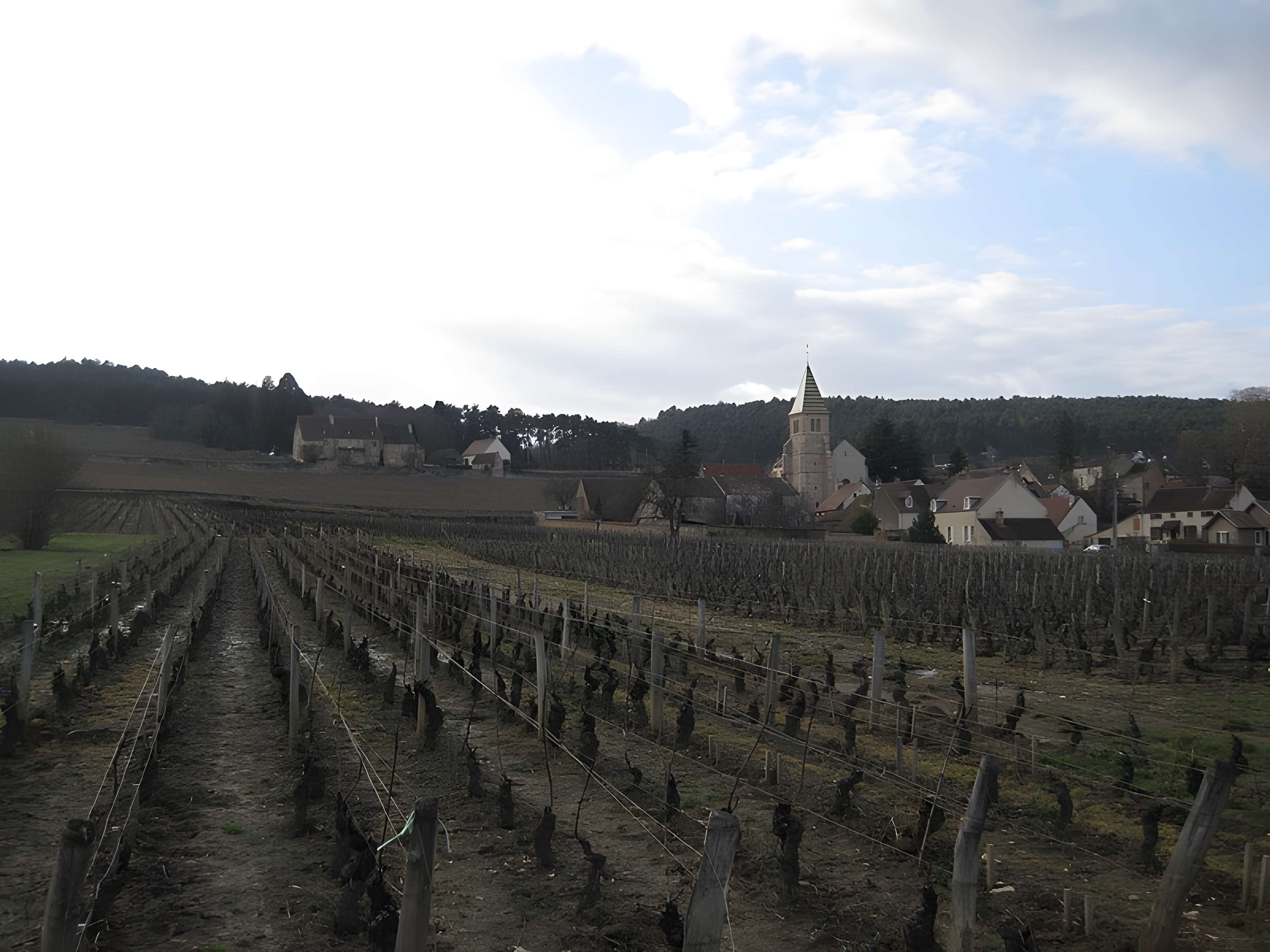 Manoir de La Perrière 