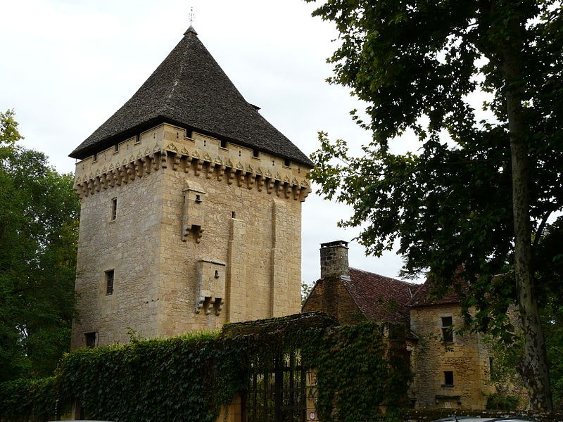 Photo de Manoir de la Salle 
