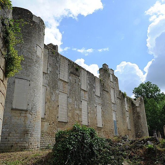 Photo de Ruines du château de Mursay