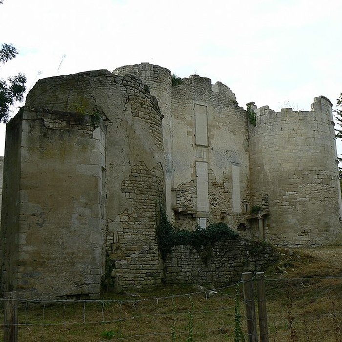Photo de Ruines du château de Mursay