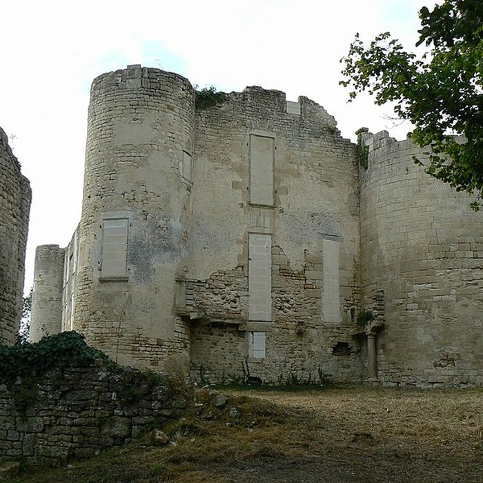Photo de Ruines du château de Mursay