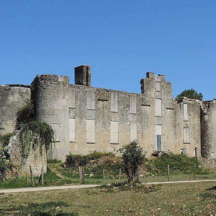 Photo de Ruines du château de Mursay