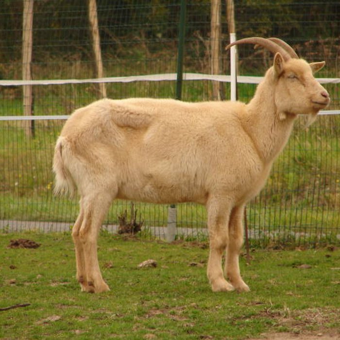 Photo de Domaine de Chenonceaux également sur communes de Chenonceaux et Civray-de-Touraine