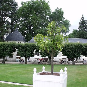 Château de Chenonceau