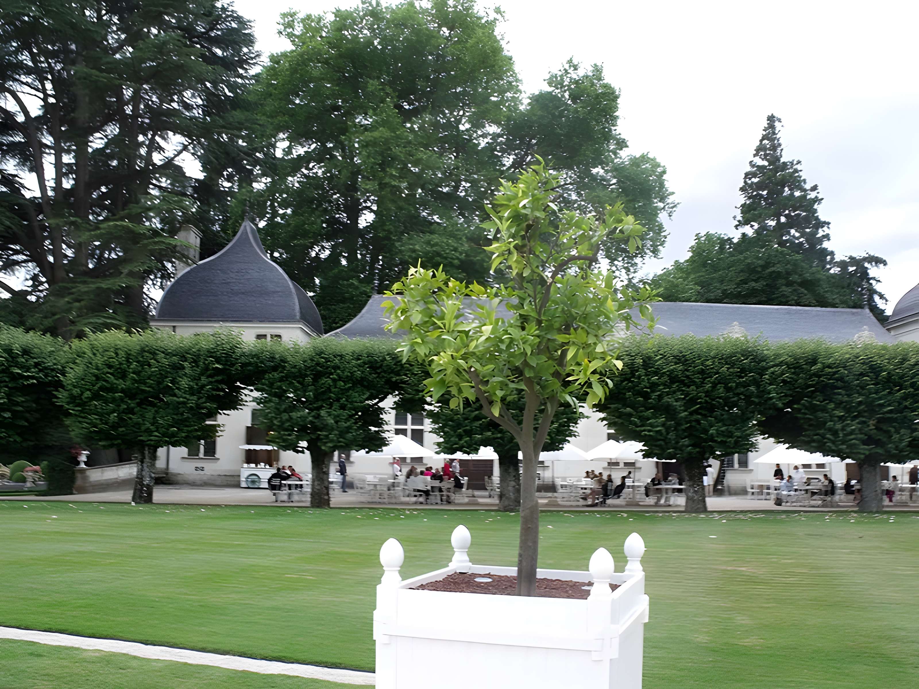 Château de Chenonceau