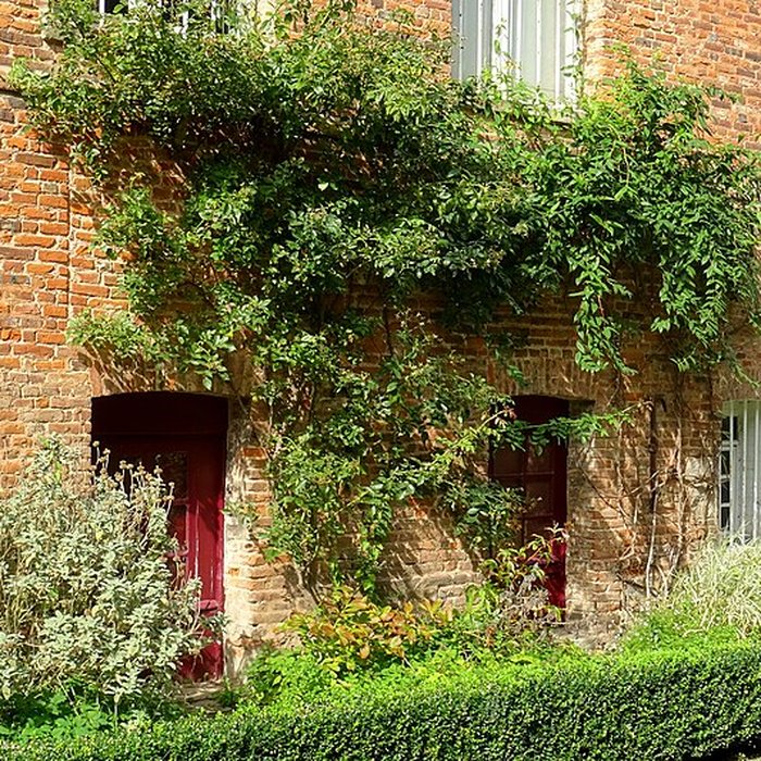 Photo de Carmel d’Abbeville