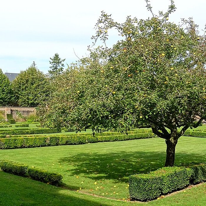 Photo de Carmel d’Abbeville