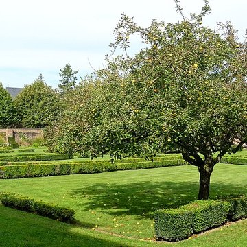 Carmel d’Abbeville