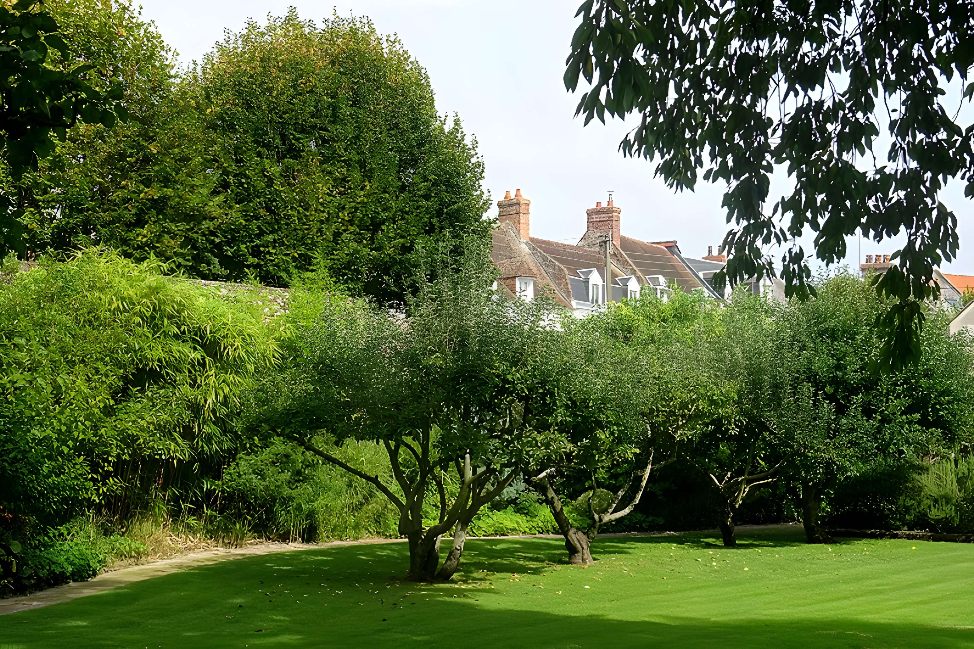 Carmel d’Abbeville