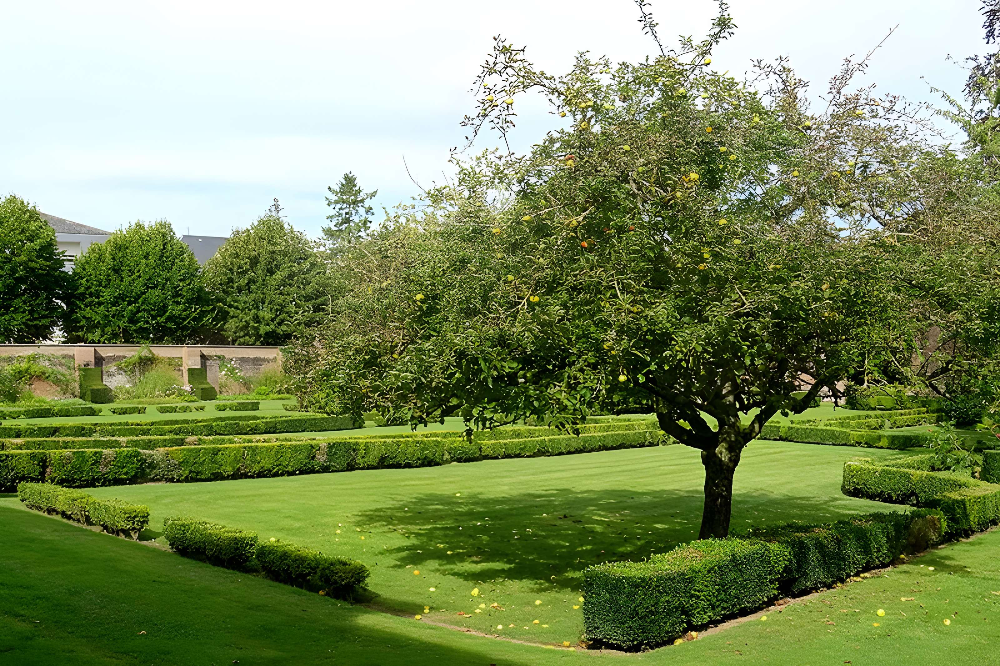 Carmel d’Abbeville