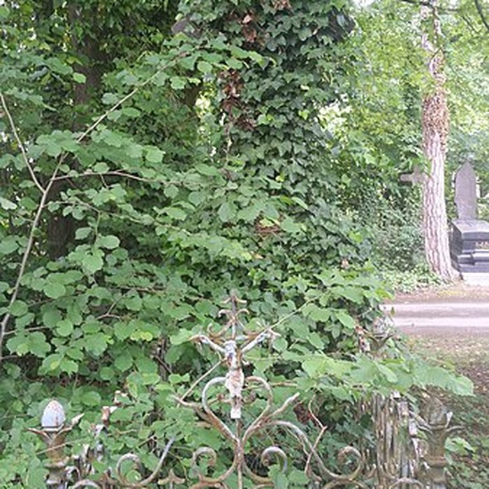 Photo de Cimetière de la Madeleine