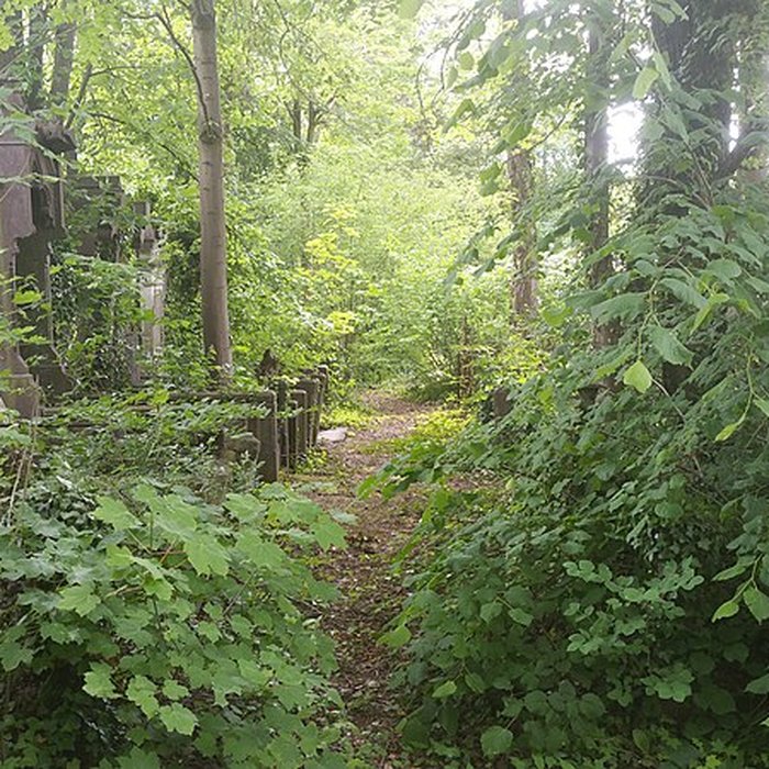 Photo de Cimetière de la Madeleine